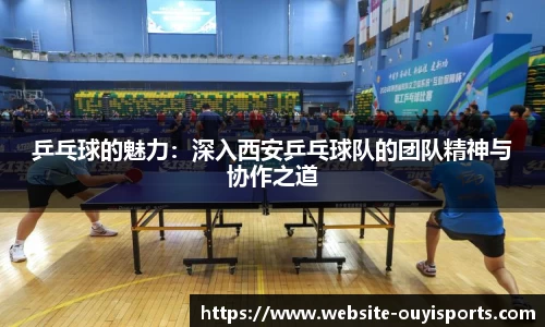 乒乓球的魅力：深入西安乒乓球队的团队精神与协作之道